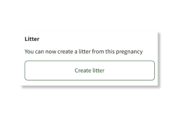 Create Litter