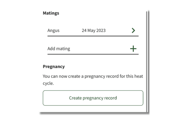Create pregnancy record