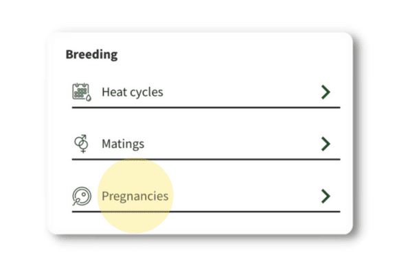 Pregnancies in Breedera