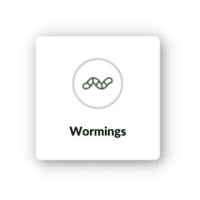 Worming icon