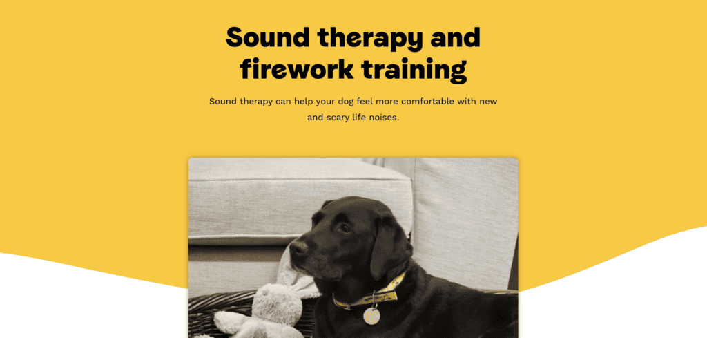 Yellow graphic with the words "Sound therapy and firework training". A photo of an adult black dog in a home setting with a grey rabbit toy.