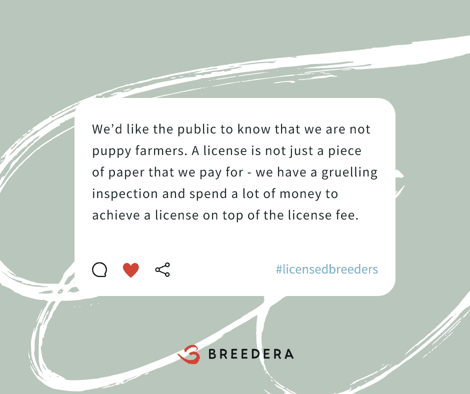 Licensed breeders would like the public to know that we're not puppy farmers. A license is not just a piece of paper that we pay for - we have a gruelling inspection and spend a lot of money to achieve a license on top of the license fee.