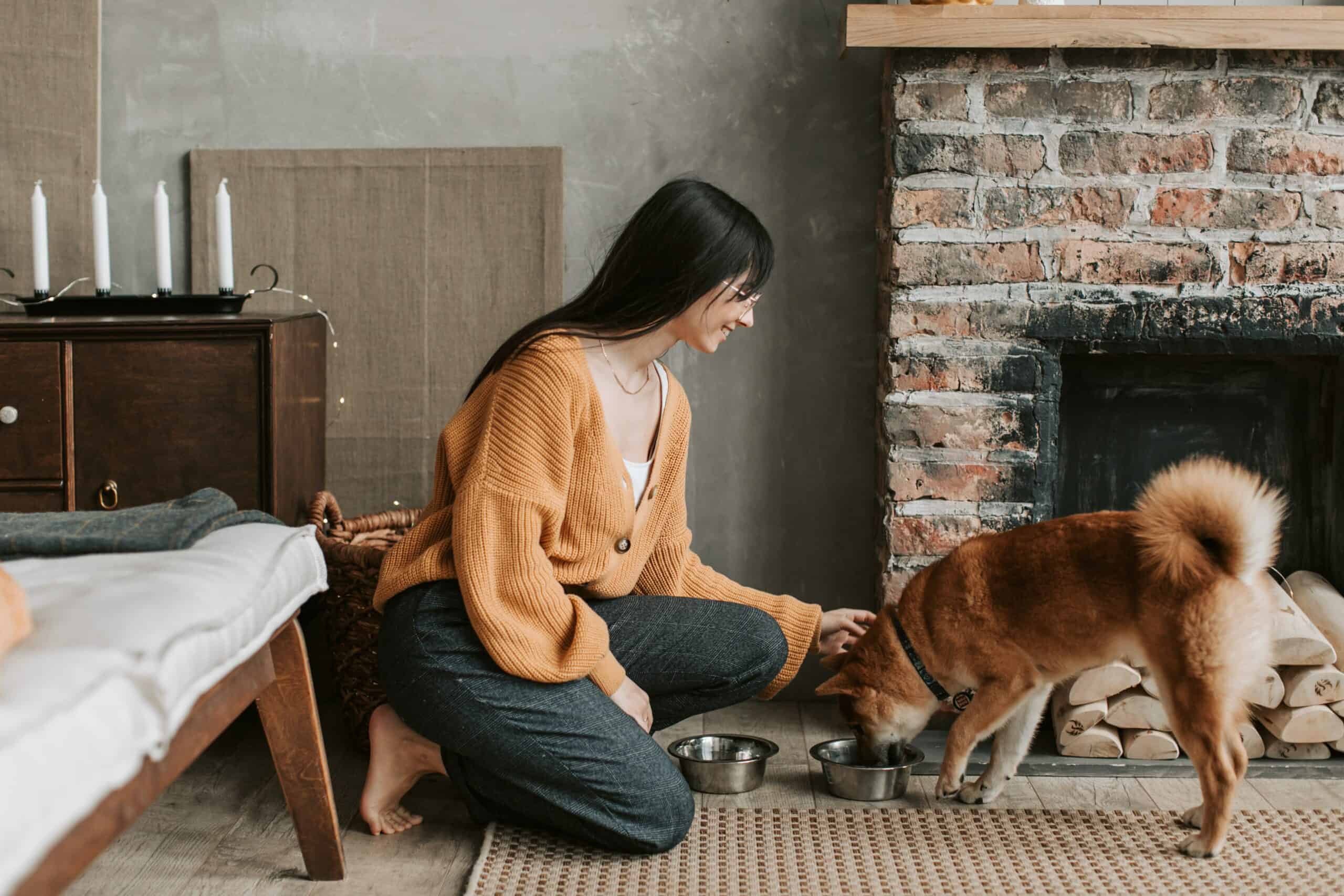 Title image for Tracking your dog's diet with Breedera. Responsible breeder is knelt down next to dog in a home setting.