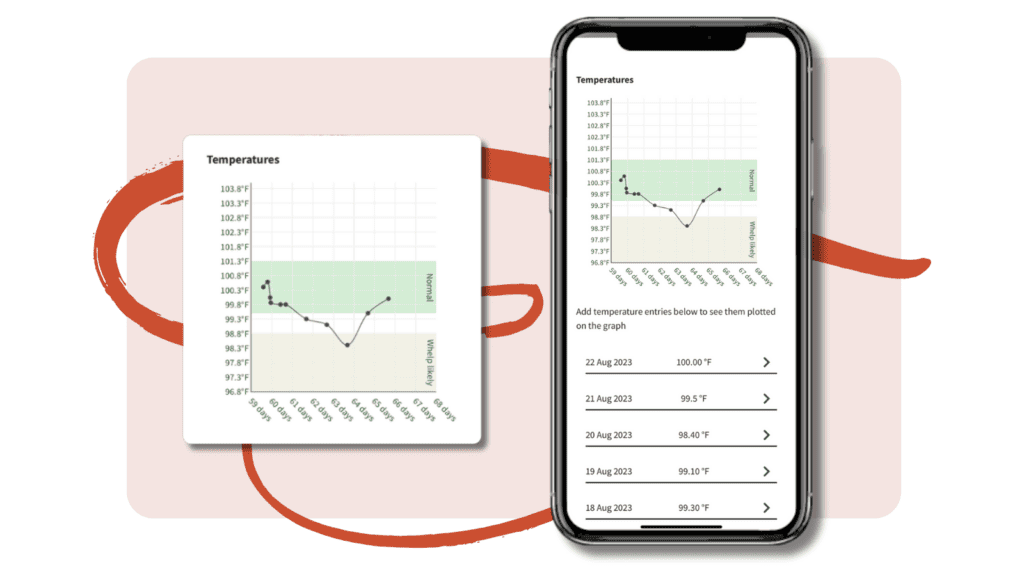 Dog pregnancy temperature tracking in Breedera