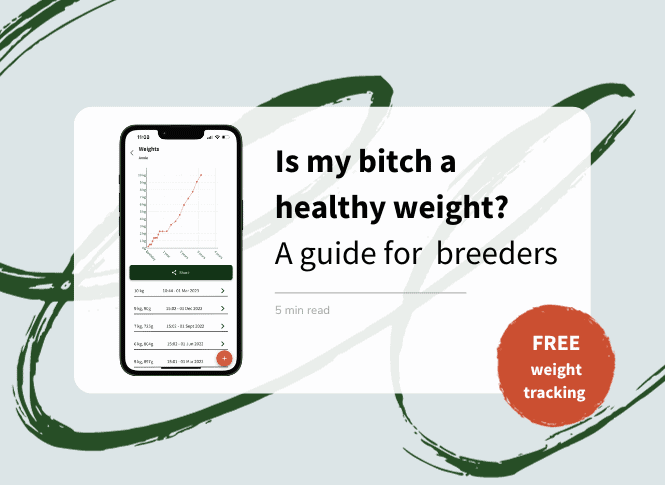 Is my breeding bitch a healthy weight? Weights chart guide for breeders