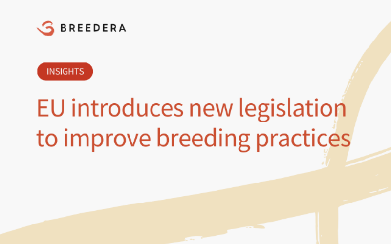 New EU legislation aims to improve breeding practices