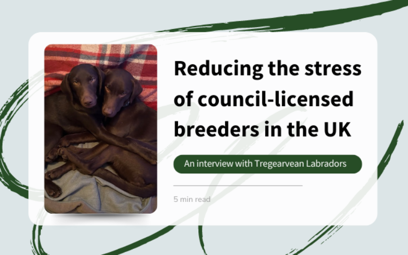 Reducing the stress of council-licensed breeders with Breedera