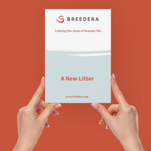 Image of a person holding a brochure for BreederA titled 'A New Litter.' The cover of the brochure features the BreederA logo, the slogan 'Calming the chaos of breeder life,' and the website address 'www.breedera.com.' The background is a solid orange color, and the person's hands with neatly manicured nails are visible holding the brochure