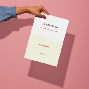 Image of a person holding a brochure for BreederA titled 'Stud Pack.' The cover of the brochure features the BreederA logo, the slogan 'Calming the chaos of breeder life,' and the website address 'www.breedera.com.' The background is a solid pink color, and the person's hand with neatly manicured nails is visible holding the brochure.