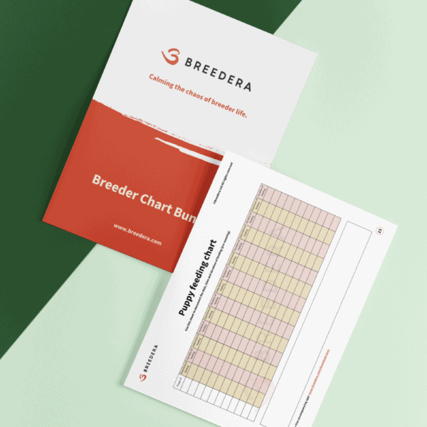 Image displaying documents from BreederA's 'Breeder Chart Bundle.' The bundle includes a cover page with the title and BreederA logo, and a 'Puppy feeding chart.' The documents are laid out on a background with dark green and light green sections.