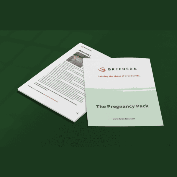 Image displaying a brochure and document from BreederA's 'The Pregnancy Pack.' The cover of the brochure features the BreederA logo, the slogan 'Calming the chaos of breeder life,' and the website address 'www.breedera.com.' Next to the brochure is an open page titled 'Pregnancy' containing text and a small image. The background is a solid dark green color.