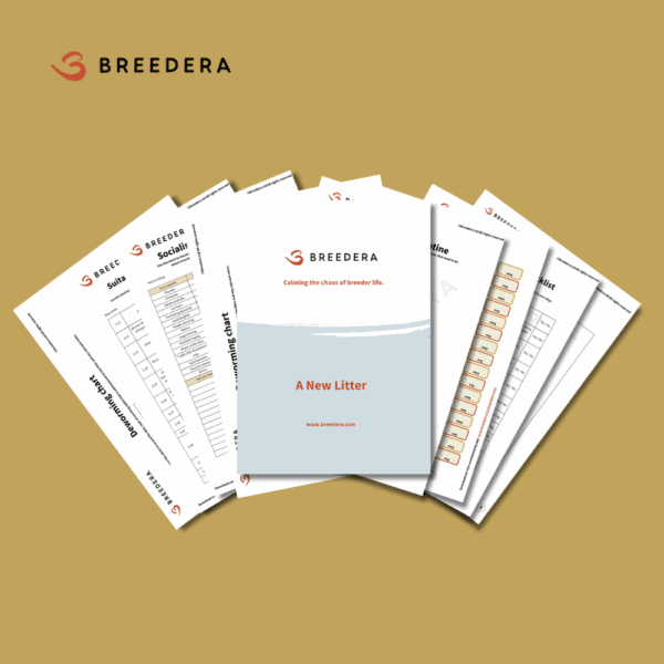 Image displaying a brochure for BreederA titled 'A New Litter.' The cover of the brochure features the BreederA logo and the slogan 'Calming the chaos of breeder life.' Behind the cover, various informational sheets are partially visible, including a 'Suitability checklist,' 'Socialization chart,' 'Grooming chart,' 'Worming routine,' and 'Checklist.' The pages are laid out on a light brown background.