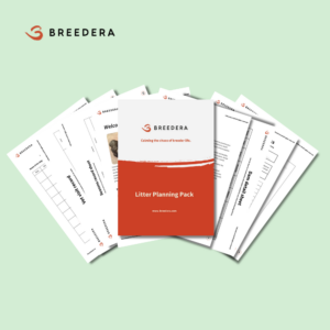 Image displaying a brochure for BreederA titled 'Litter Planning Pack.' The cover of the brochure features the BreederA logo and the slogan 'Calming the chaos of breeder life.' Behind the cover, various informational sheets are partially visible, including a 'Vet visit record,' 'Season record sheet,' and a 'Dam details sheet.' The pages are laid out on a light green background.