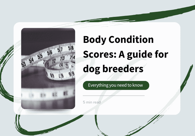 Body Condition Score for Breeders