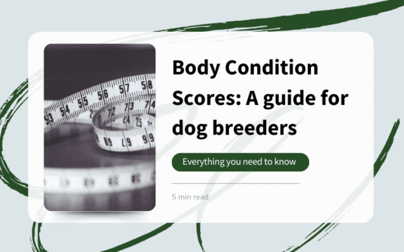 Body Condition Score: A guide for responsible breeders