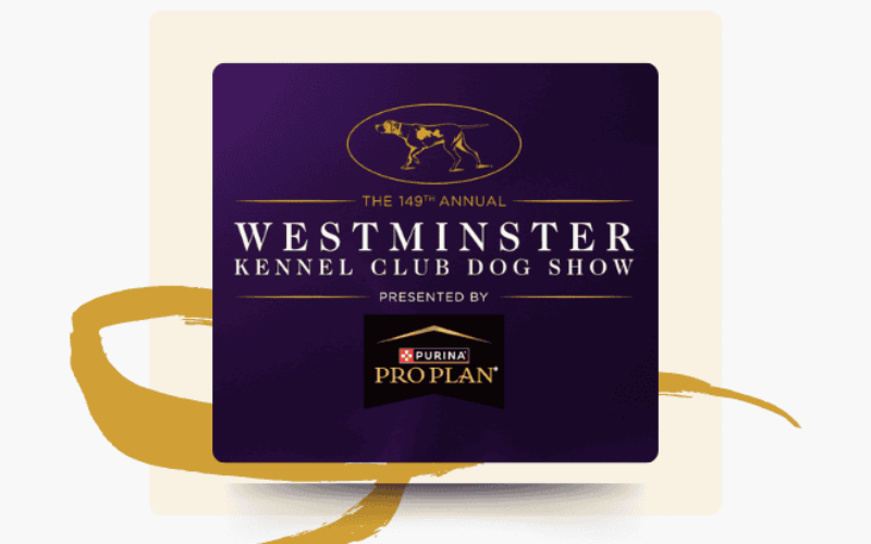 Meet Breedera at Westminster Kennel Club Dog Show 2025 