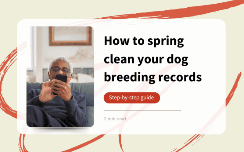 Spring clean your dog breeding records: Step-by-step guide 